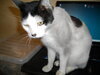 Clyde 110920 1.JPG