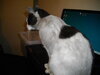 Clyde 110920 2.JPG