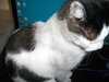 Clyde 110920 3.JPG