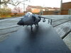 P1160139.JPG