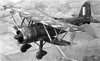 Italian_Fiat_CR42_RAF_7.jpg