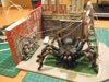 spider4 003.JPG