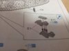 20140429_082503.jpg