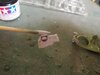 IMG_20210802_170607.jpg