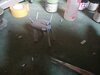 IMG_20210802_194702.jpg