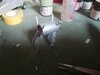 IMG_20210802_194655.jpg