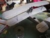 IMG_20210803_171641.jpg