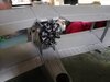 IMG_20210803_171647.jpg