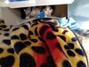IMG_20201217_123621.jpg