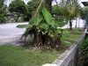 rr0235.jpg rr0235.jpg