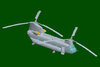 HB Chinook 1-48.jpg