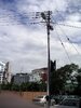 rr0239.jpg