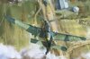 border stuka 1-35 01.jpg