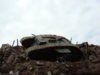 WW1 TANK 037.jpg