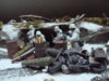 Last stand 009..jpg