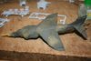 IMG_2150.JPG