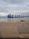 IMG_20221025_105654_1.jpg