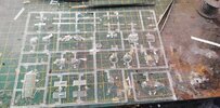 IMG_20221215_133359.jpg