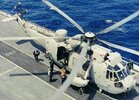 seaking6.jpg