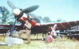 Fw190D9_JV44_kolor.jpg