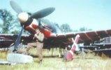 Fw190D9_JV44_kolor.jpg