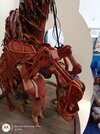 IMG_20220918_101818098.jpg
