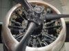 dux_lysander_04.jpg
