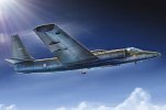 HB Dragon lady U-2C in 1-72.jpg