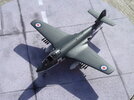 P1170028.JPG