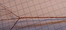 20220304_104509.jpg
