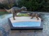 Dino rumble completed 002.JPG