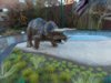 Dino rumble completed 004.JPG