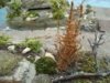 diorama 105.jpg