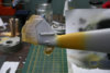 tail2.jpg