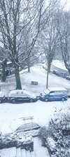 20221210_084656.jpg