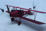 DSCF3697.JPG