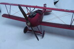 DSCF3698.JPG