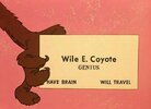 WECoyote business card.JPG
