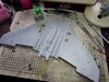 Lower wings.JPG