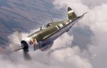 dw p-47 02.jpg