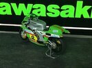 IMG_2981.jpeg