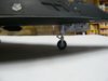 P1110719 [Desktop Resolution].JPG
