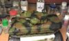 Gepard24.jpg