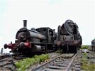 P1370062.JPG