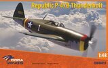 dw p-47 01.jpg