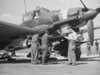 JU 87 (2).jpg