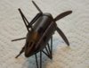 Working on the wings 014.jpg