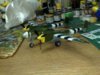 100620112520.jpg