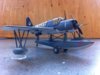 IMG_0417.jpg
