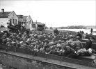 d-day-normandy-gallery-boats-on-shore-gallery.jpg